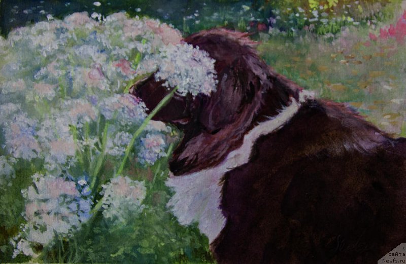 Фотография № 234697