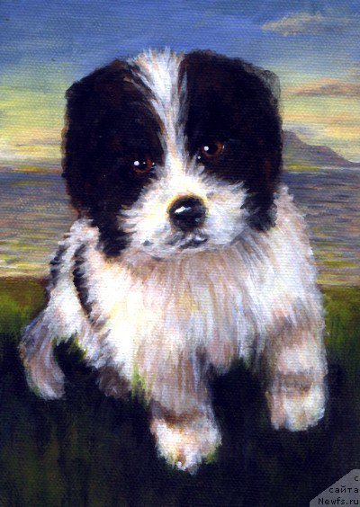 Фотография № 234702