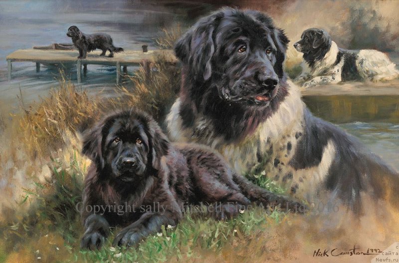 Фотография № 234706