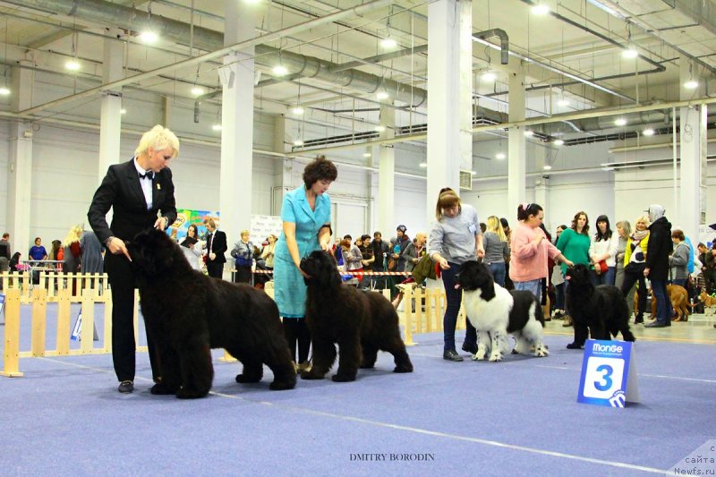 Фотография № 234707