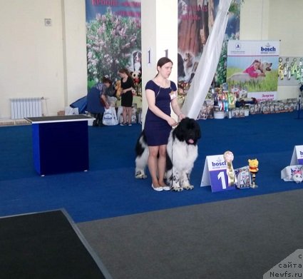 Фотография № 234711