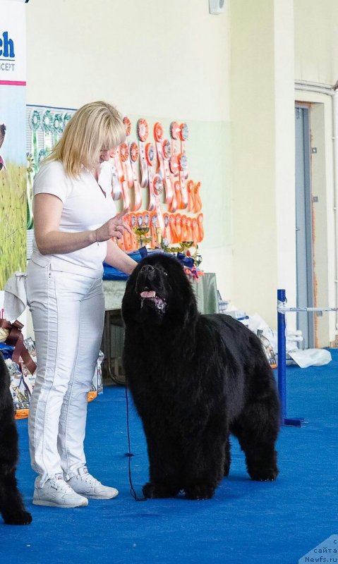 Фотография № 234712