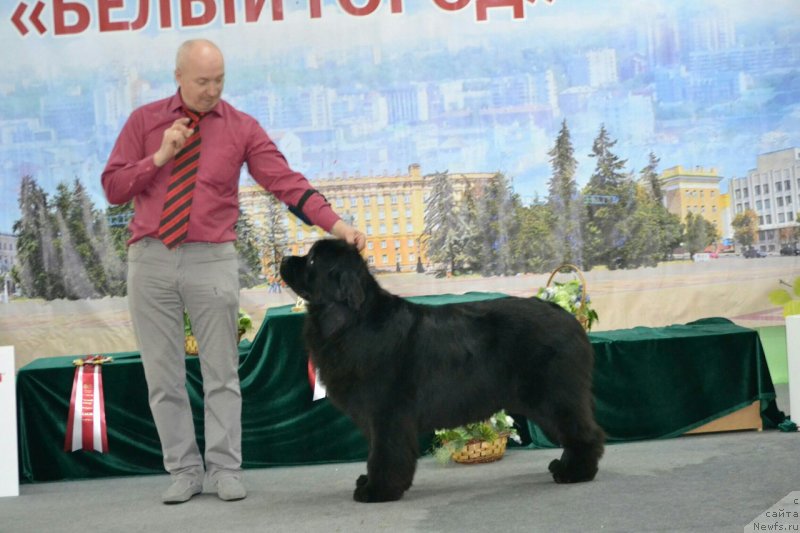 Фотография № 234714