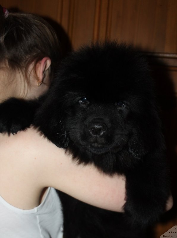 Фотография № 234716