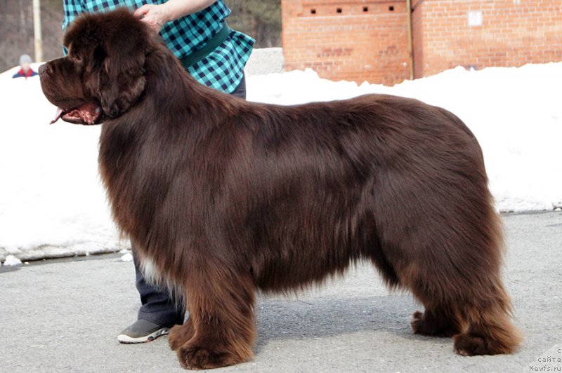 Фотография № 234720