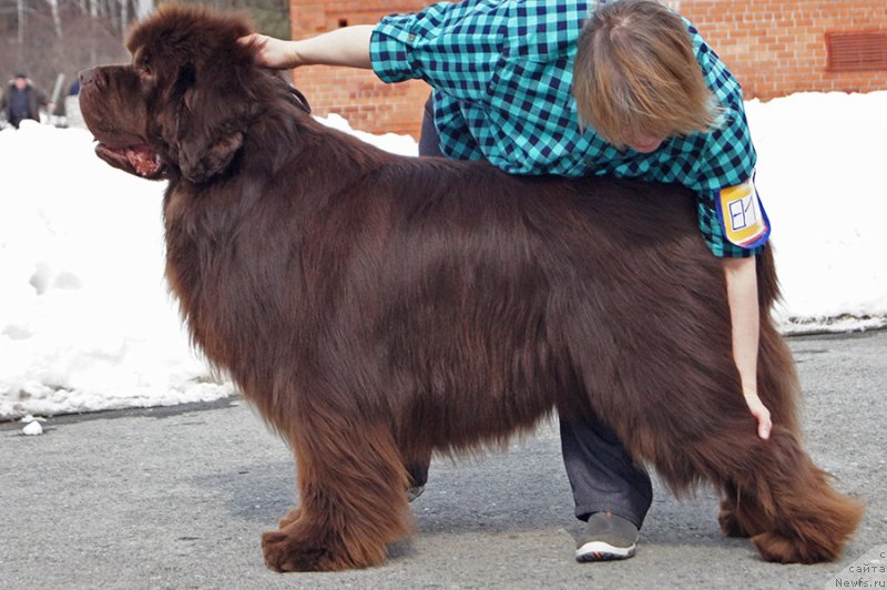 Фотография № 234723