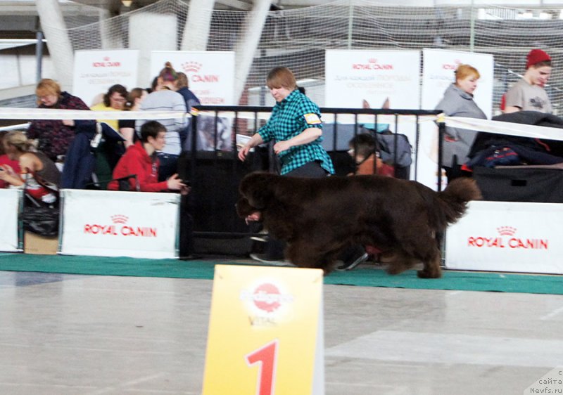 Фотография № 234726