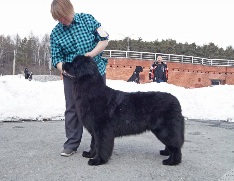 Фотография № 234728