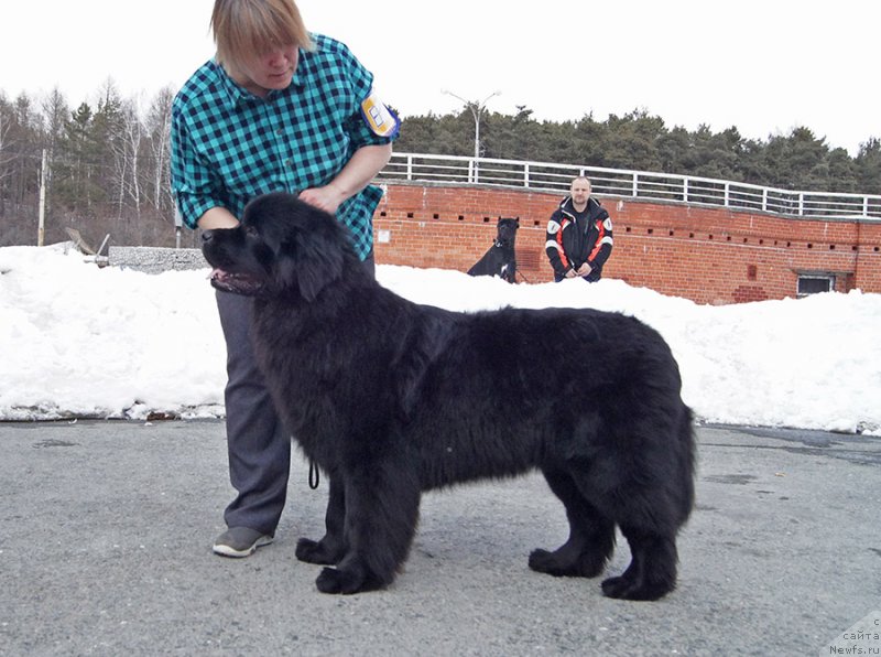 Фотография № 234730