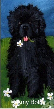 Фотография № 234731