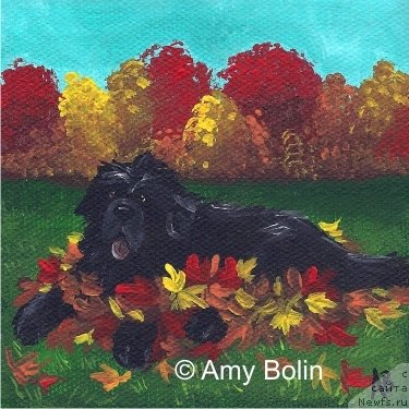 Фотография № 234734