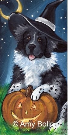 Фотография № 234735