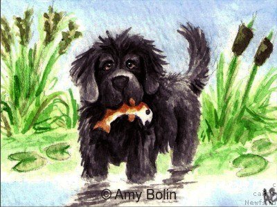 Фотография № 234736