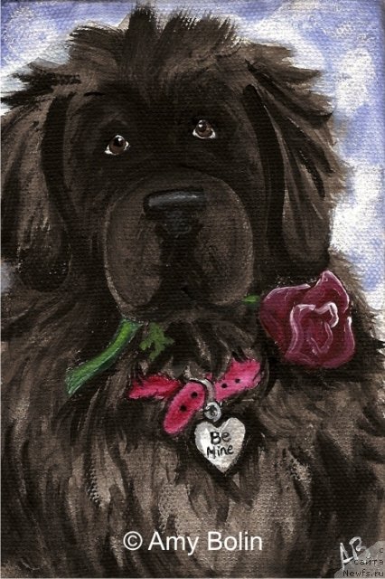 Фотография № 234738