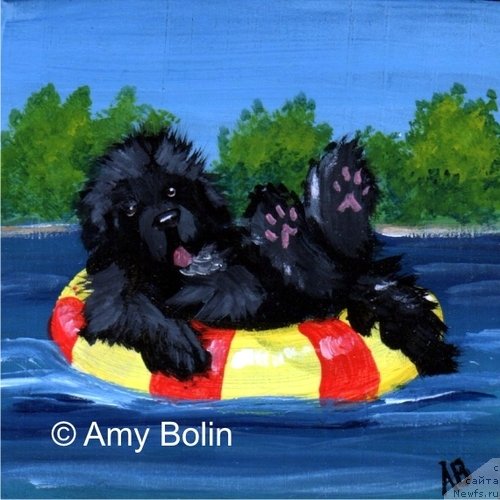 Фотография № 234740