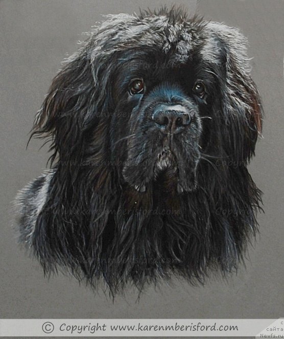 Фотография № 234744