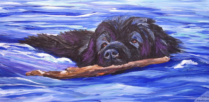 Фотография № 234747