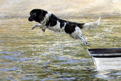 Фотография № 234752