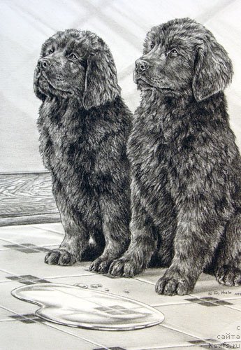 Фотография № 234753