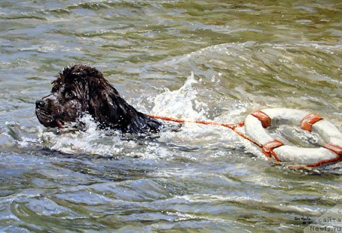 Фотография № 234754