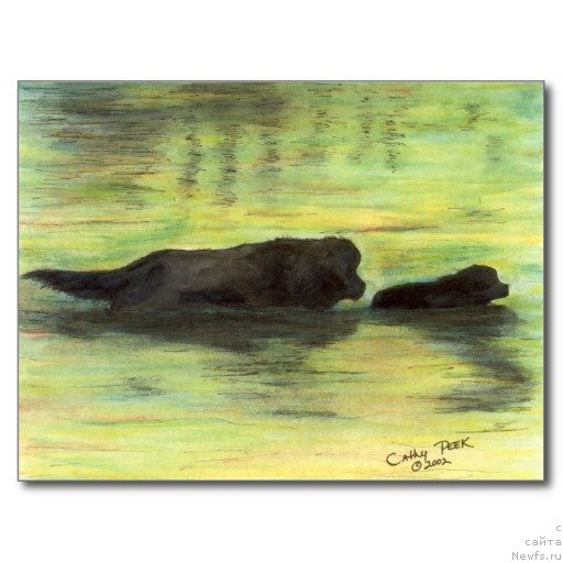 Фотография № 234767