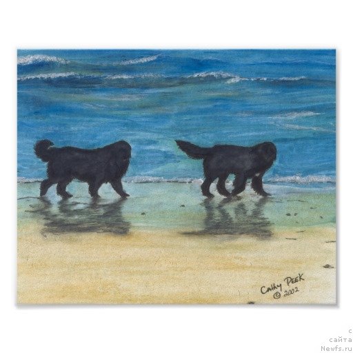 Фотография № 234768