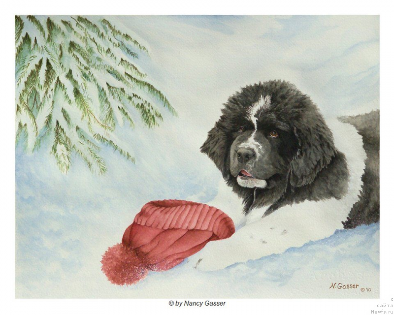 Фотография № 234776