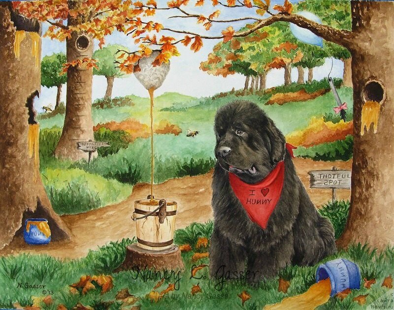 Фотография № 234780