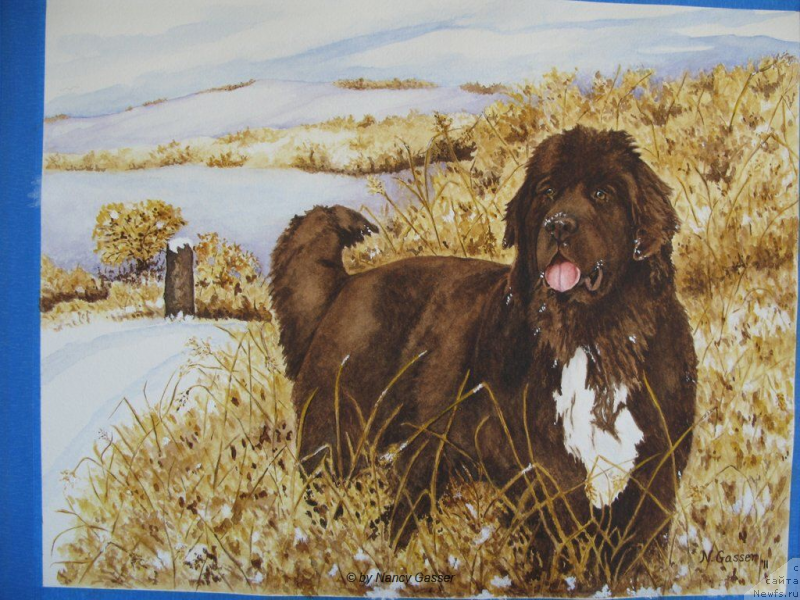 Фотография № 234784