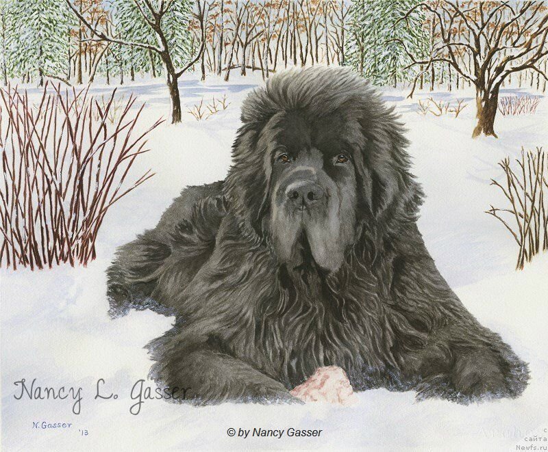 Фотография № 234785