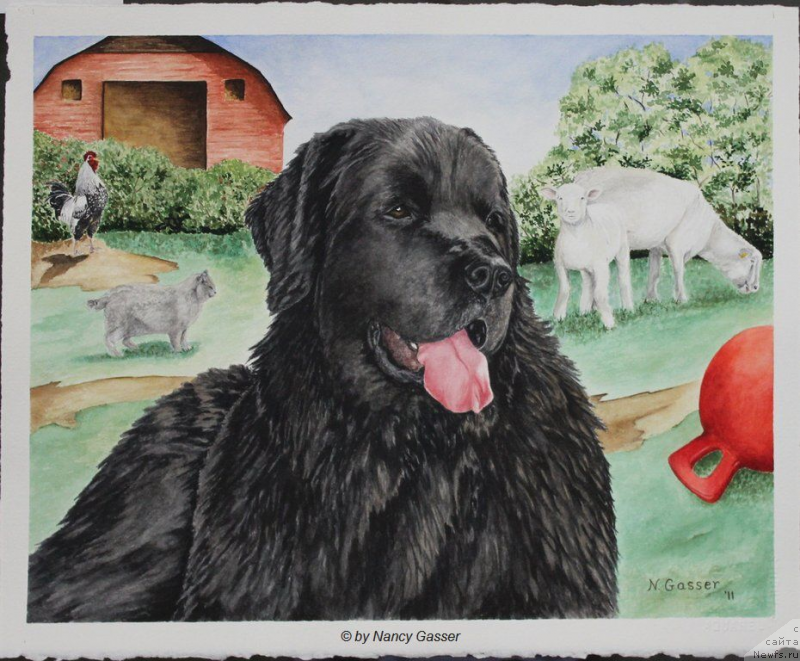 Фотография № 234786