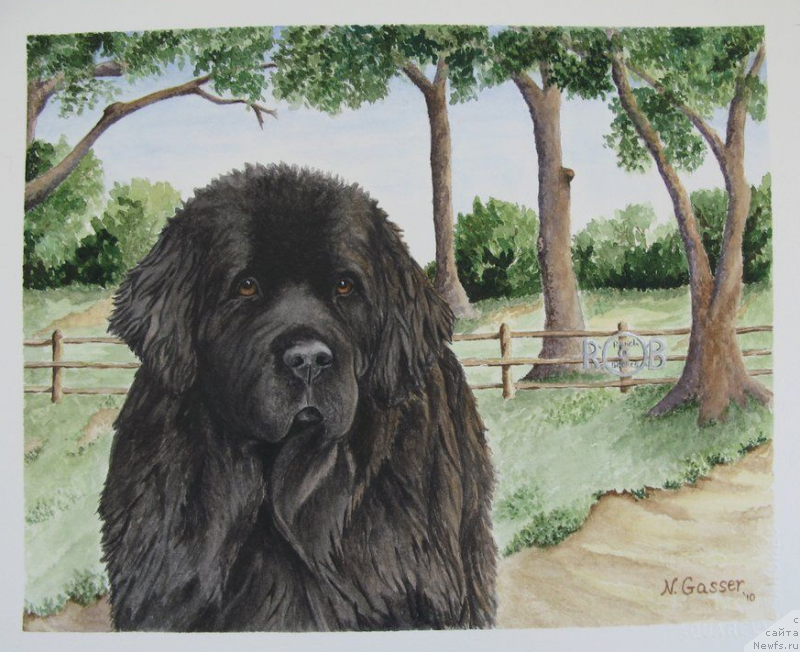 Фотография № 234787