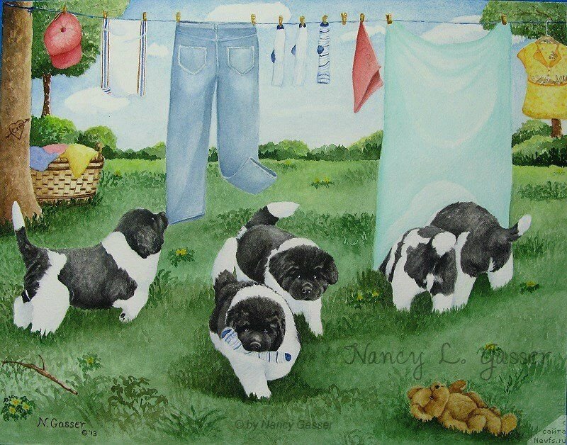 Фотография № 234793