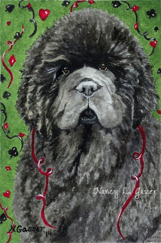 Фотография № 234795