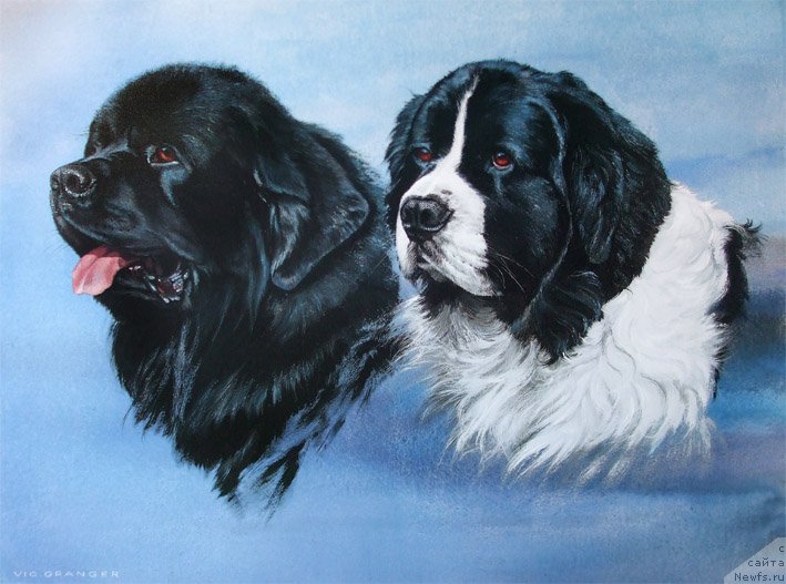 Фотография № 234797