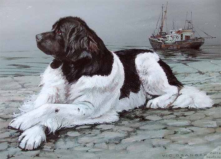 Фотография № 234798