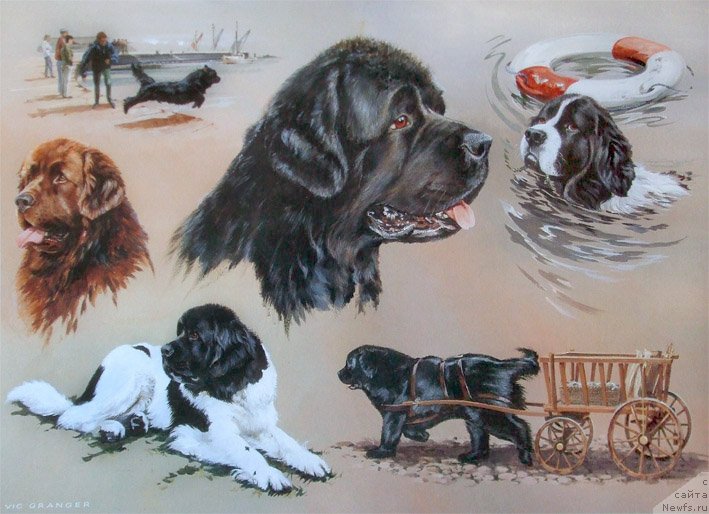 Фотография № 234799