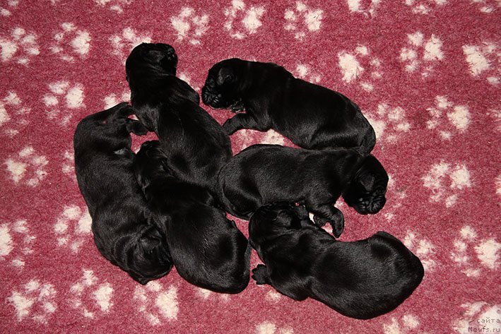 Фотография № 234803