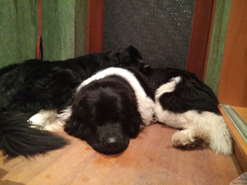 Фотография № 234808