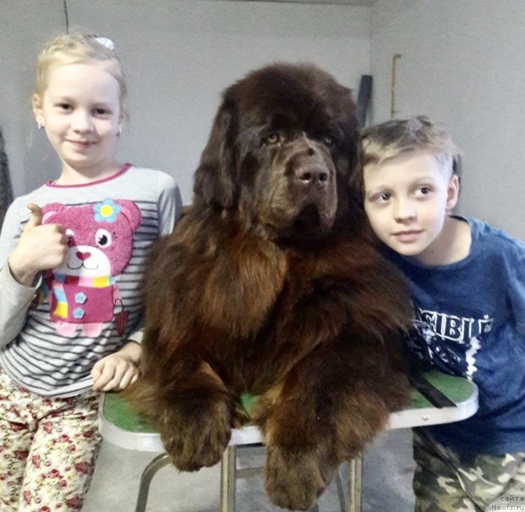 Фотография № 234810