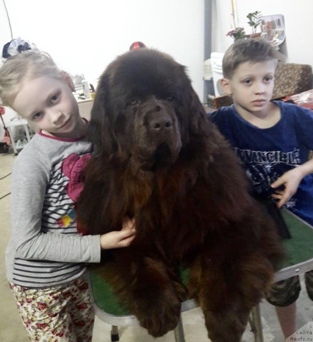 Фотография № 234811