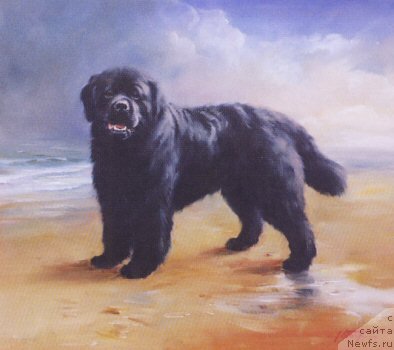 Фотография № 234812