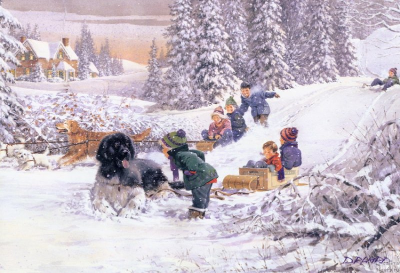 Фотография № 234814