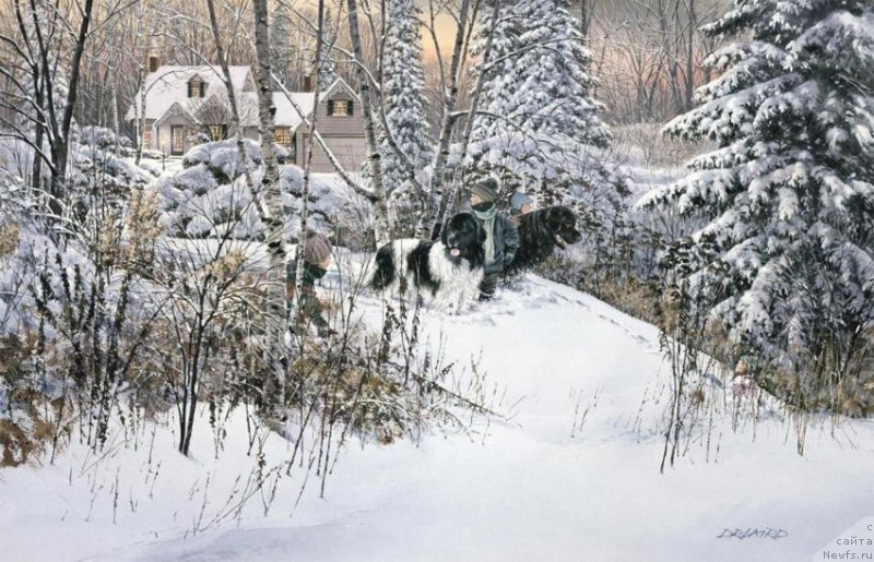 Фотография № 234815