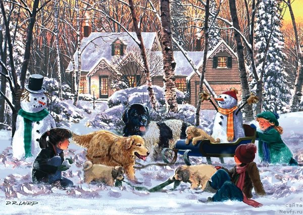 Фотография № 234816