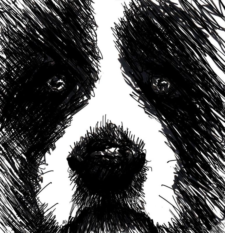 Фотография № 234819