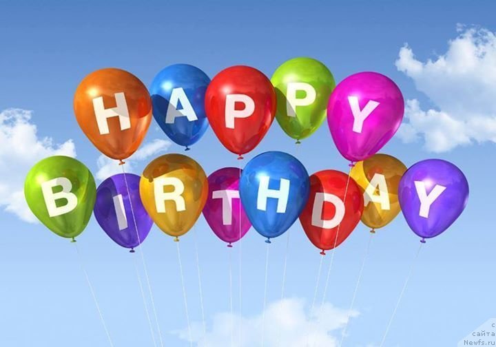 Фотография № 234831