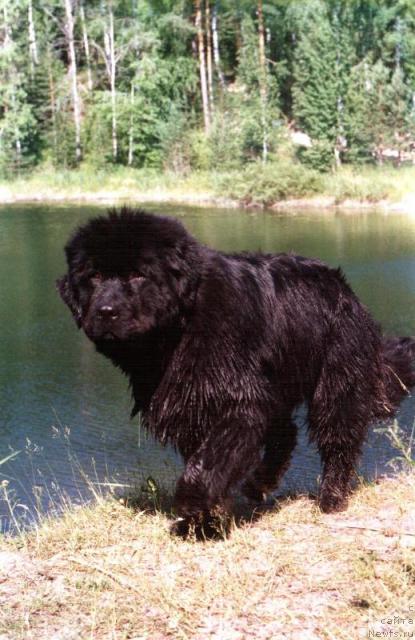 Фотография № 23484