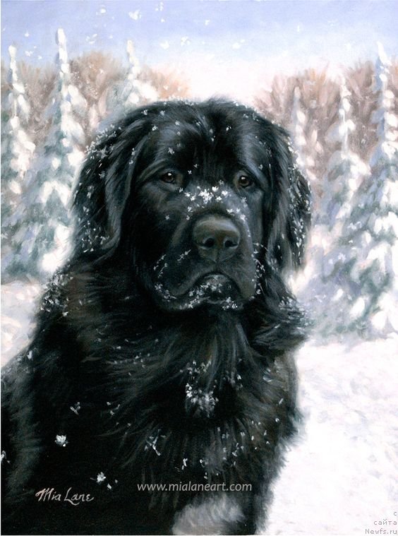 Фотография № 234841