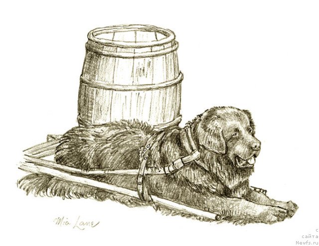 Фотография № 234847